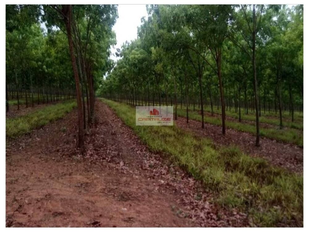 Fazenda à venda, 17125m² - Foto 4