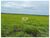 Fazenda, 2 hectares - Foto 2