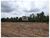 Fazenda, 109 m² - Foto 1