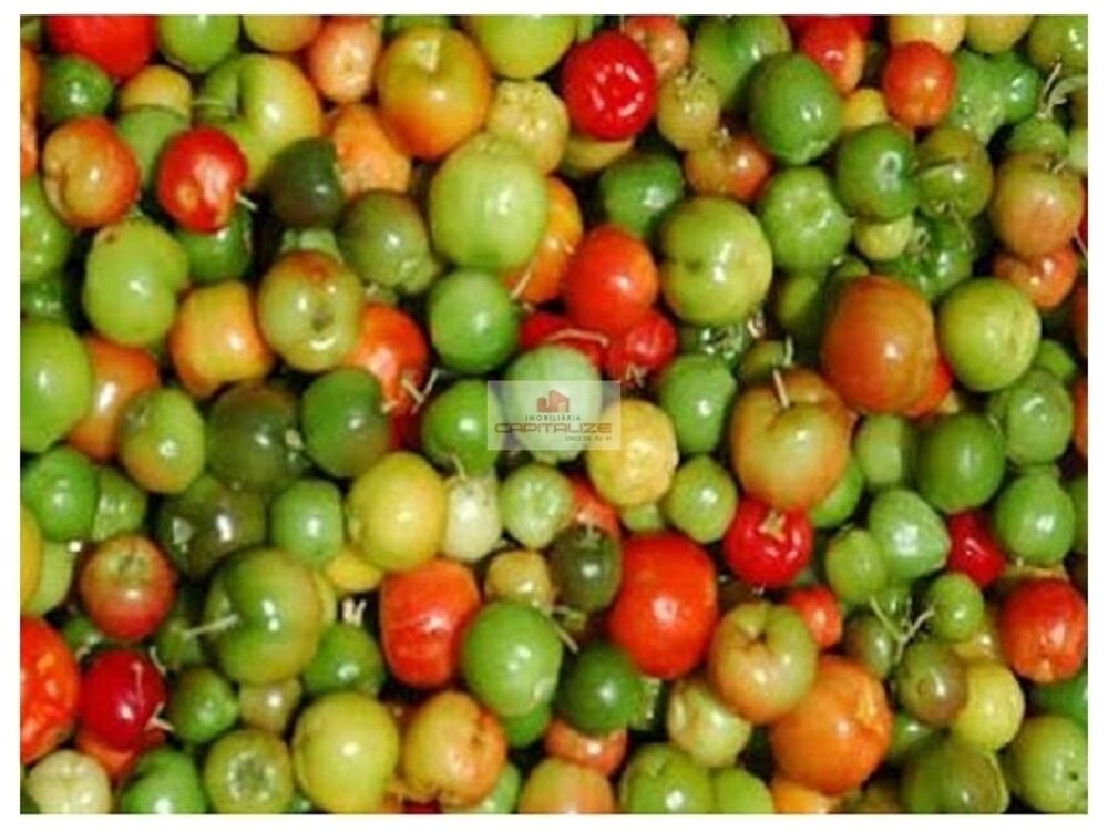 Fazenda, 65 m² - Foto 1