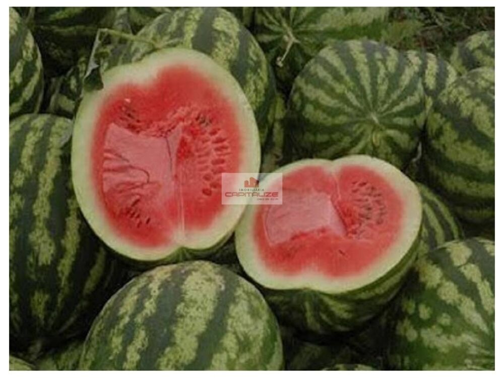 Fazenda, 65 m² - Foto 2