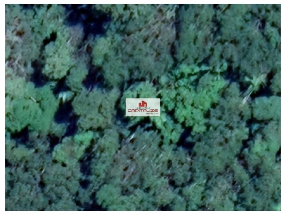 Fazenda, 4 hectares - Foto 1