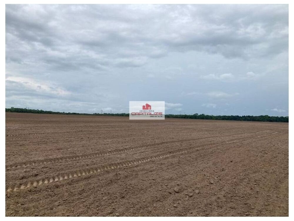 Fazenda à venda, 700m² - Foto 3