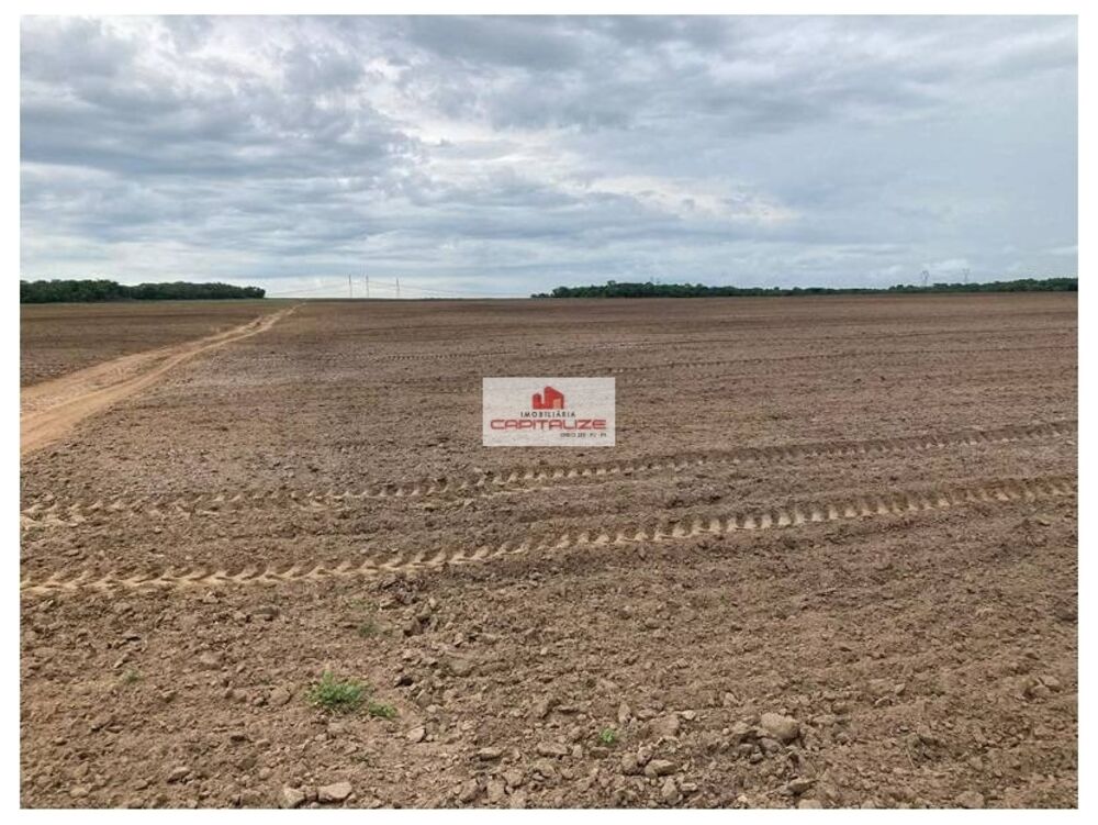Fazenda à venda, 700m² - Foto 7