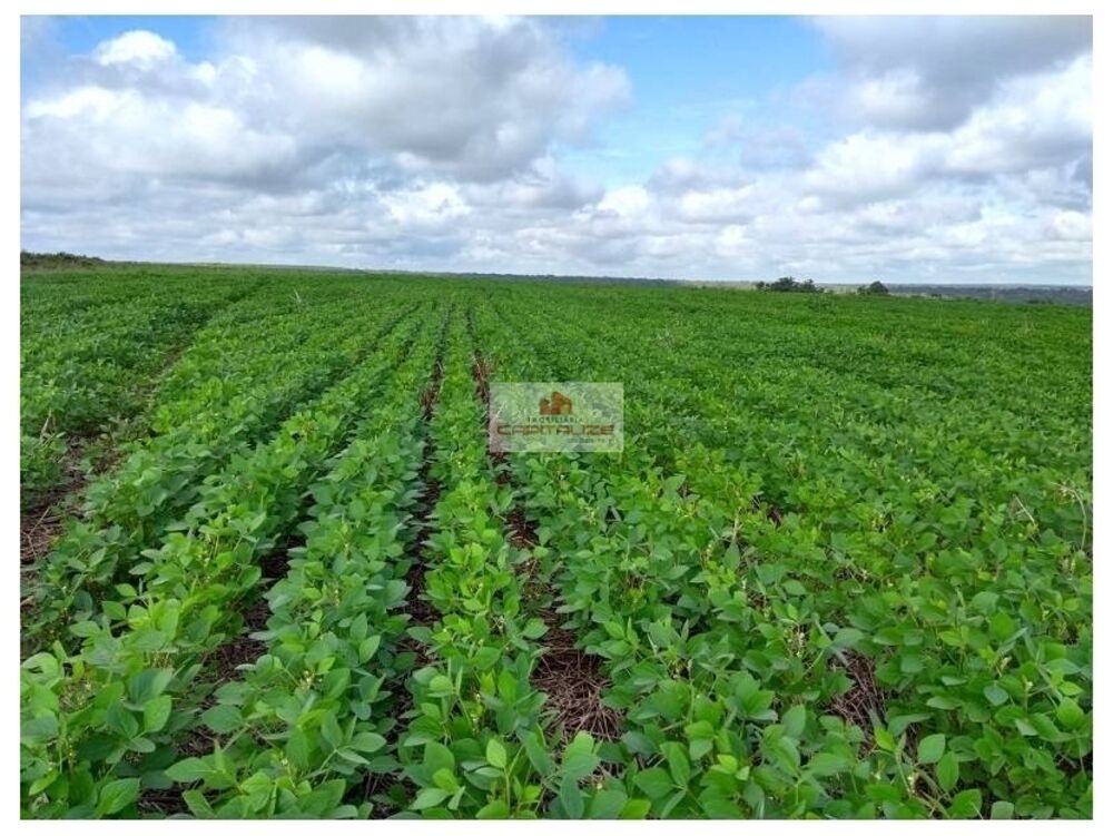 Fazenda à venda, 700m² - Foto 1