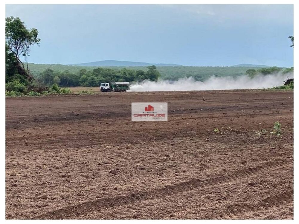 Fazenda à venda, 700m² - Foto 8