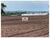 Fazenda, 700 m² - Foto 8