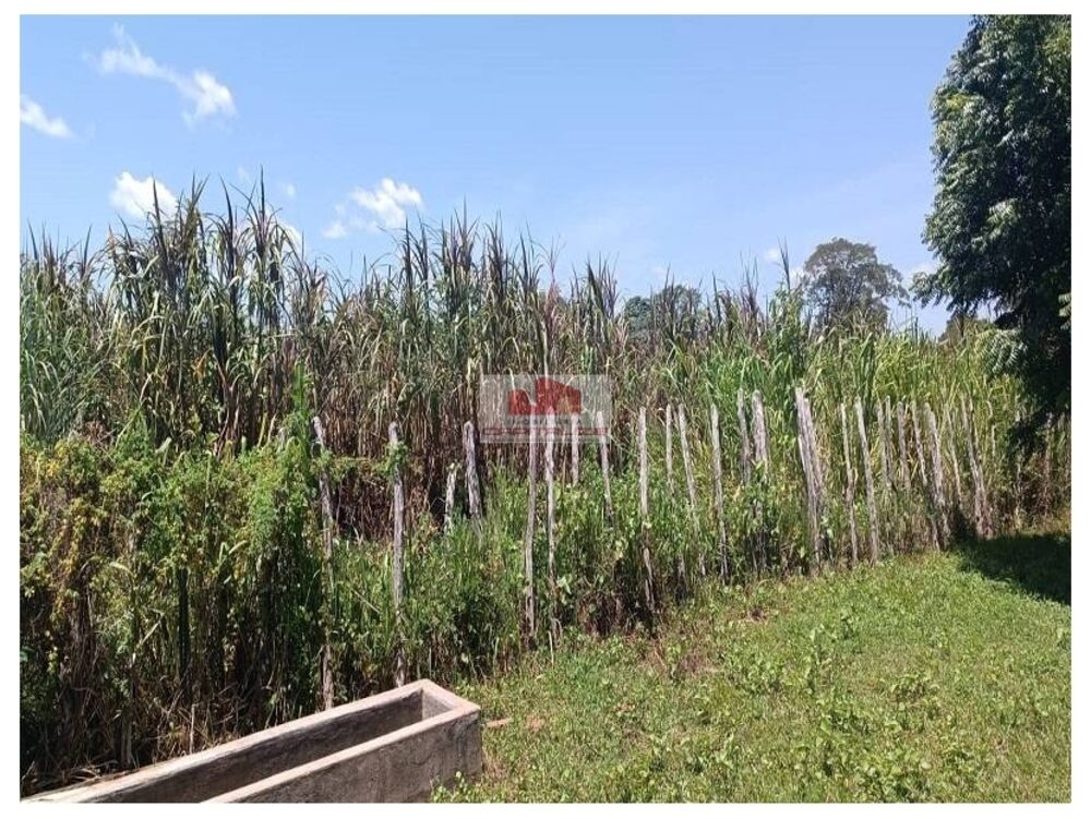 Fazenda à venda, 3400m² - Foto 3