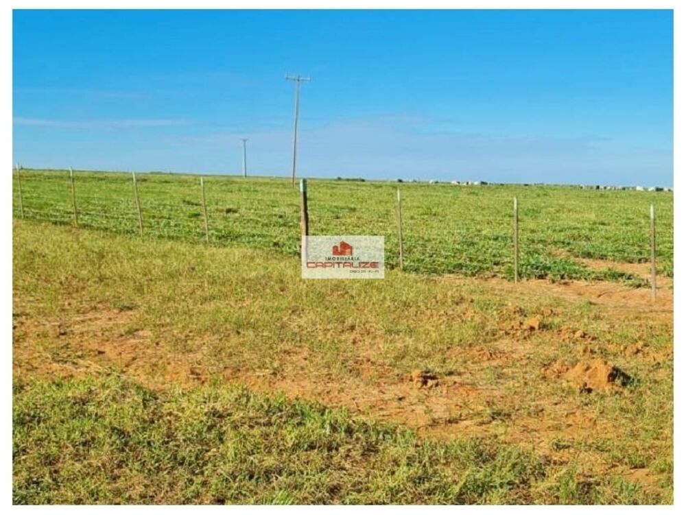 Fazenda à venda, 400000m² - Foto 2