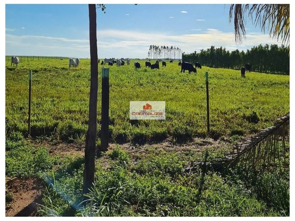 Fazenda à venda, 400000m² - Foto 3