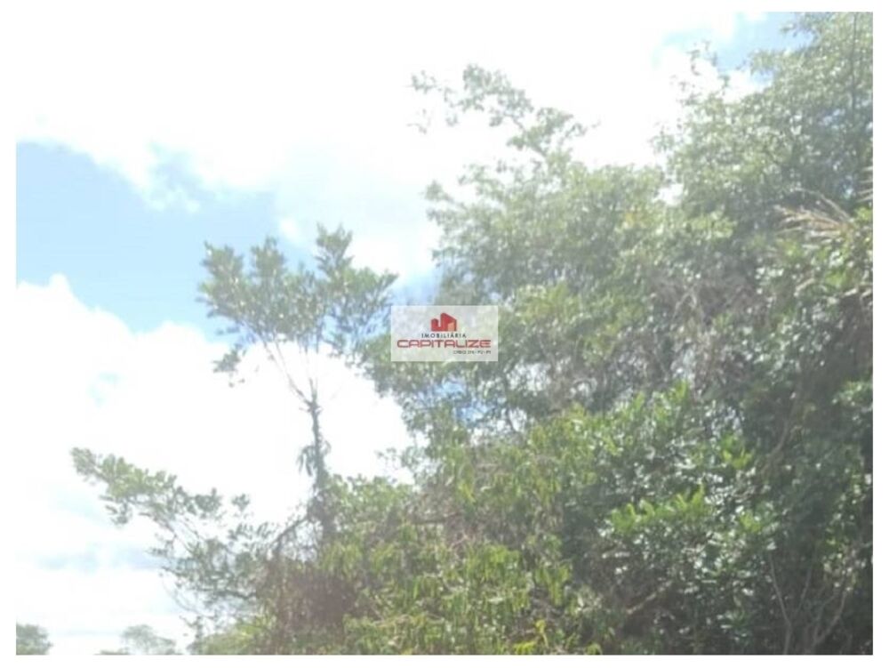 Fazenda à venda, 400000m² - Foto 4