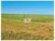 Fazenda, 40 hectares - Foto 2