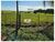 Fazenda, 40 hectares - Foto 3