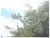 Fazenda, 40 hectares - Foto 4
