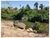 Fazenda, 7000 m² - Foto 4