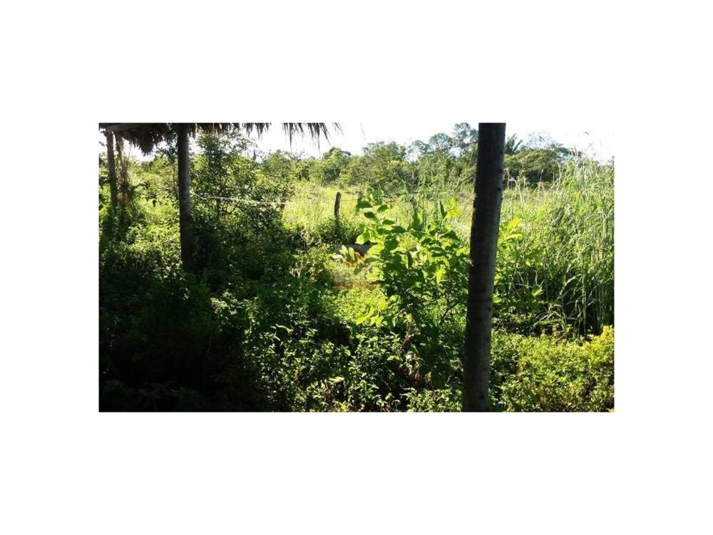 Fazenda à venda com 3 quartos, 400m² - Foto 3