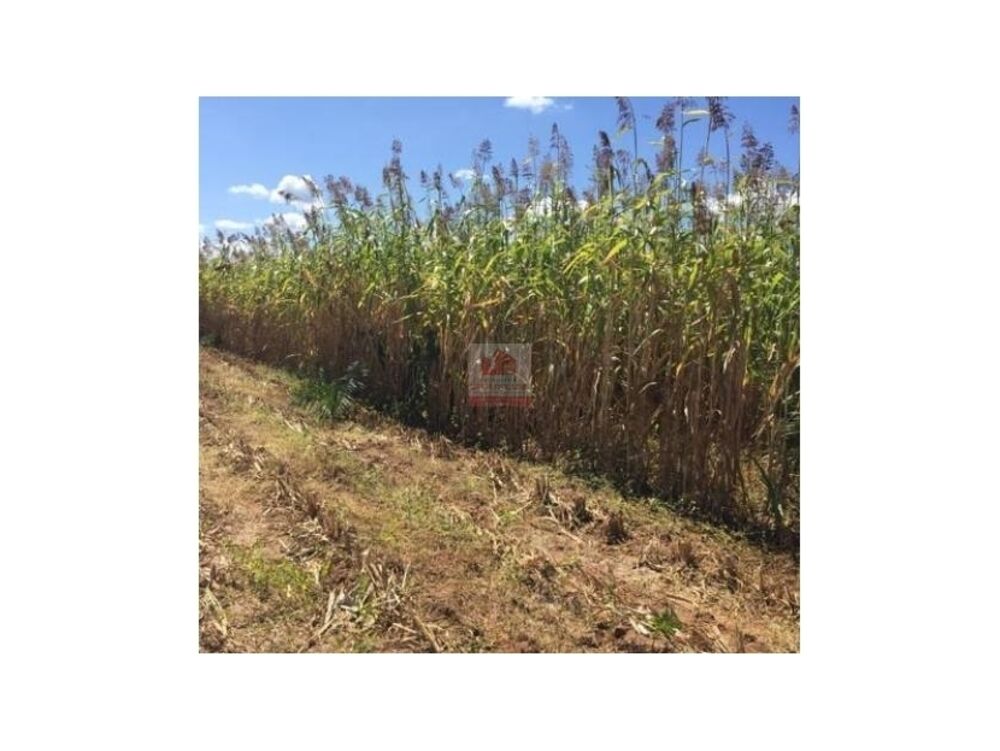 Fazenda à venda com 3 quartos, 400m² - Foto 1