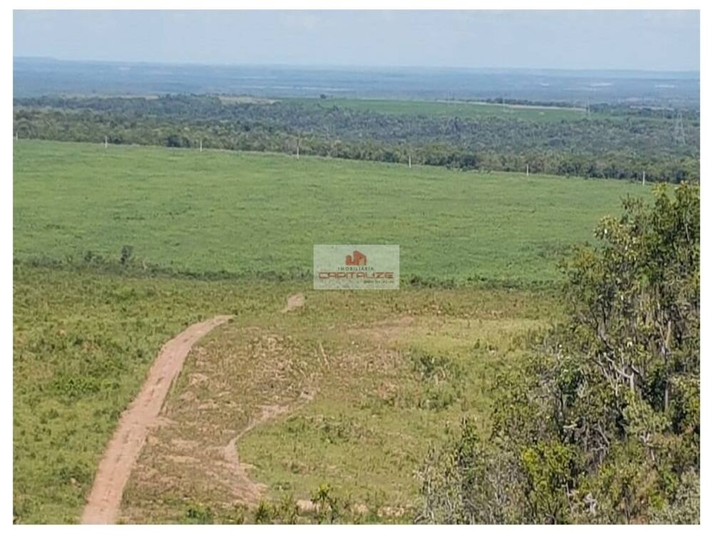 Fazenda à venda, 7300m² - Foto 3