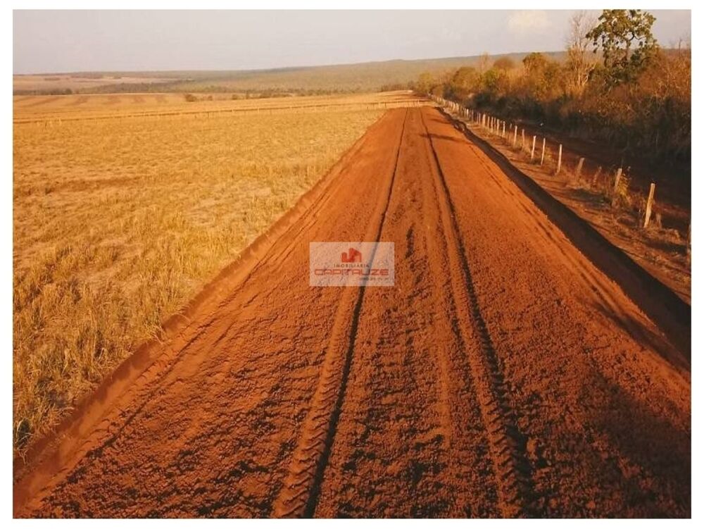 Fazenda à venda, 100000m² - Foto 3