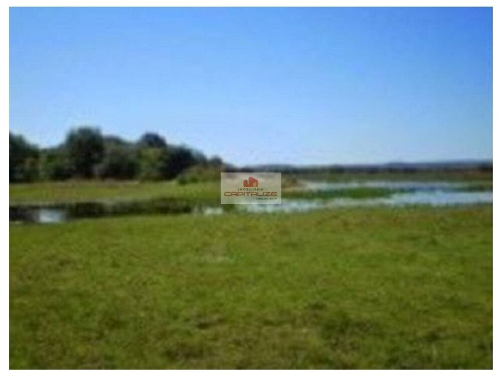 Fazenda à venda, 100000m² - Foto 4