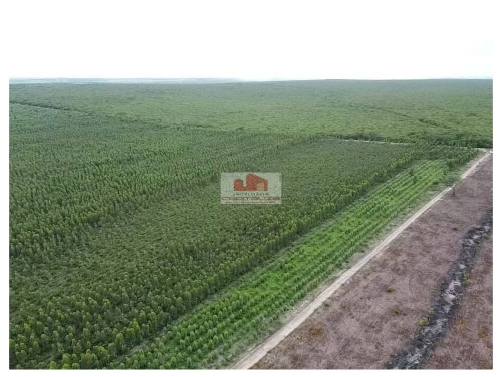 Fazenda à venda, 2840m² - Foto 3