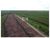 Fazenda, 2840 m² - Foto 2