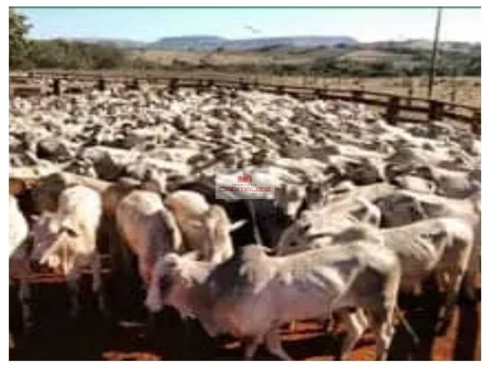 Fazenda à venda, 21000m² - Foto 1