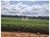 Fazenda, 3 hectares - Foto 1