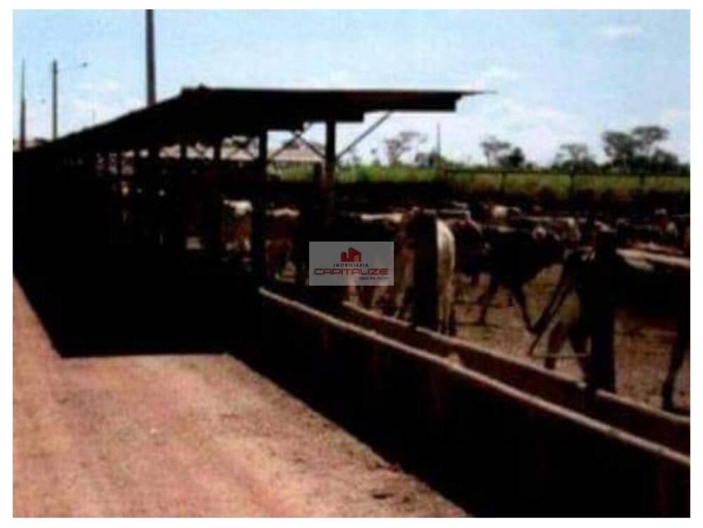 Fazenda, 4 hectares - Foto 1