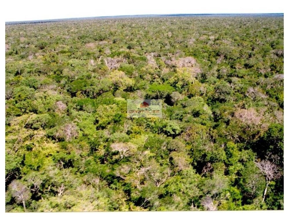 Fazenda à venda, 90000m² - Foto 2