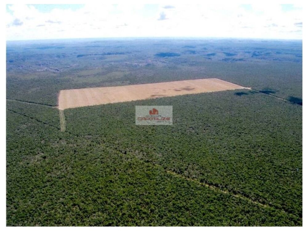 Fazenda à venda, 90000m² - Foto 5