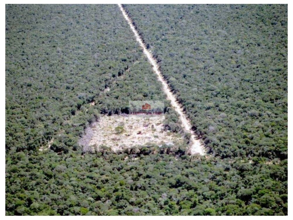 Fazenda à venda, 90000m² - Foto 7
