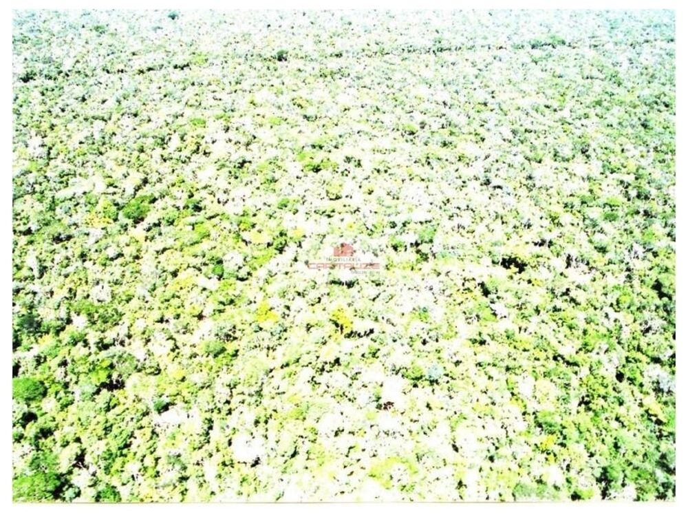 Fazenda à venda, 90000m² - Foto 3