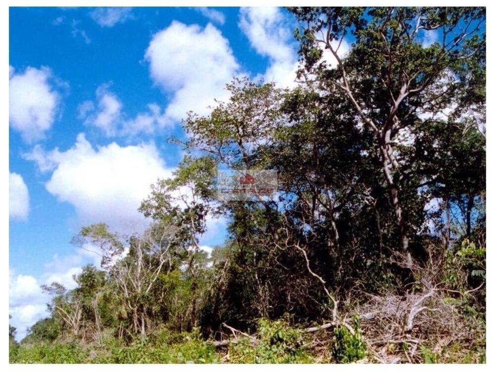 Fazenda à venda, 90000m² - Foto 10