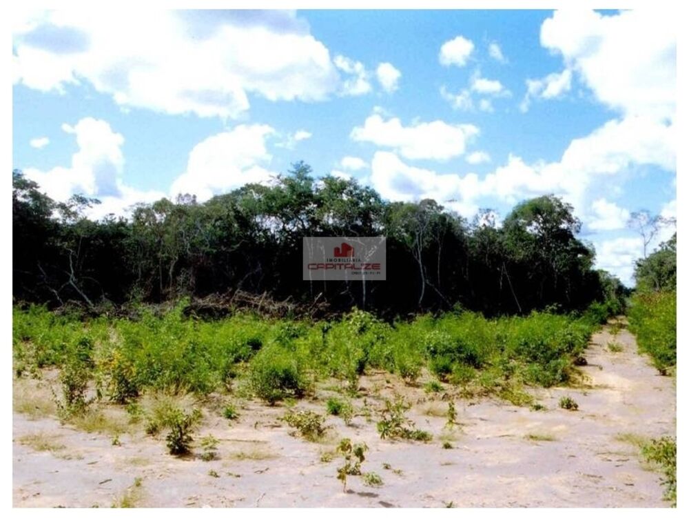 Fazenda à venda, 90000m² - Foto 9