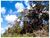 Fazenda, 9 hectares - Foto 10