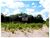 Fazenda, 9 hectares - Foto 9