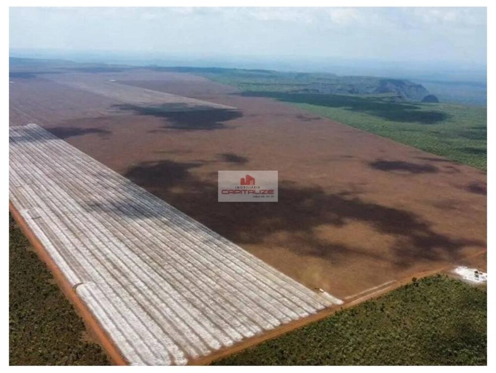Fazenda à venda, 10000m² - Foto 1