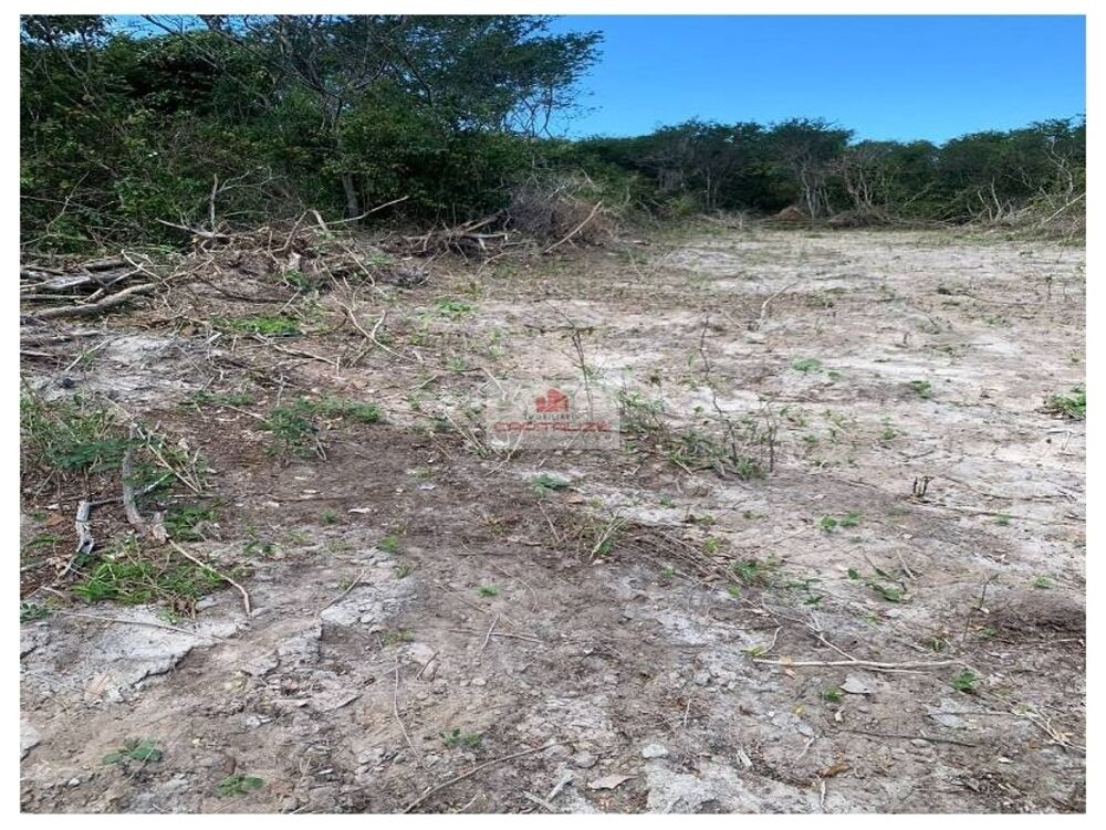 Fazenda à venda, 1350m² - Foto 1