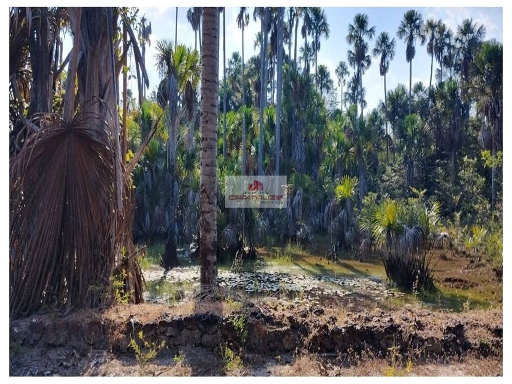 Fazenda à venda, 1100m² - Foto 4