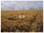 Fazenda, 3300 m² - Foto 3