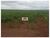 Fazenda, 3300 m² - Foto 2
