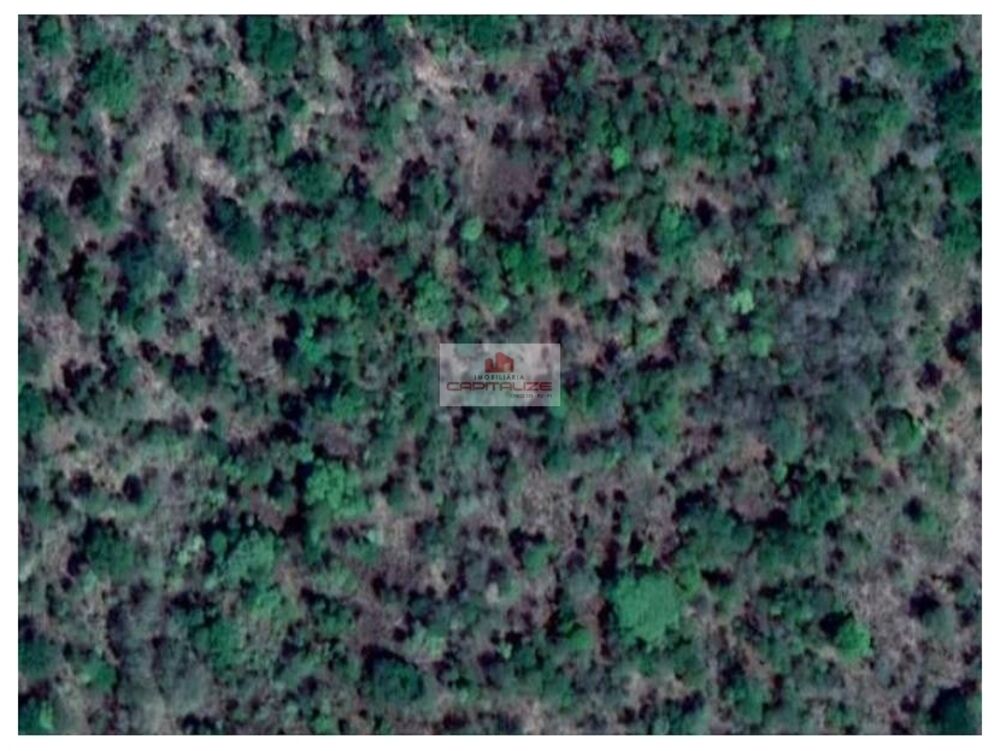 Fazenda, 9600 m² - Foto 2