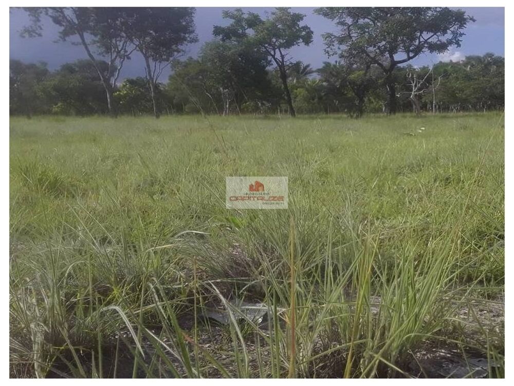 Fazenda à venda, 4000m² - Foto 4