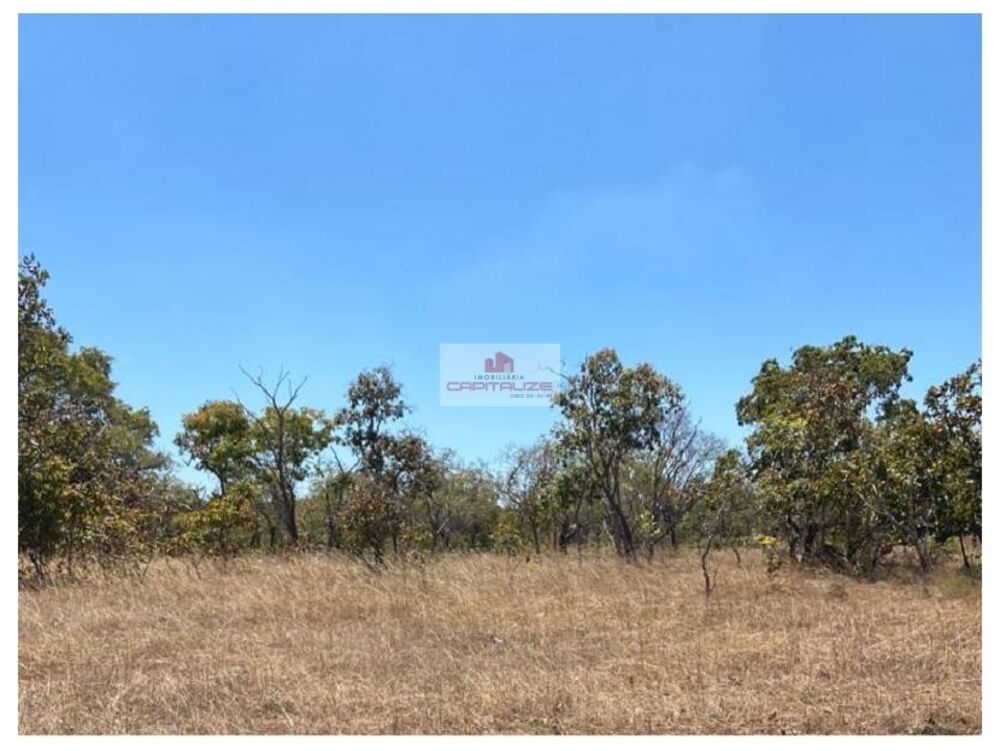 Fazenda à venda, 4000m² - Foto 3