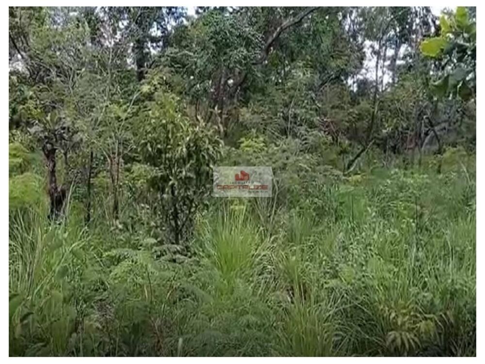 Fazenda à venda, 4000m² - Foto 4