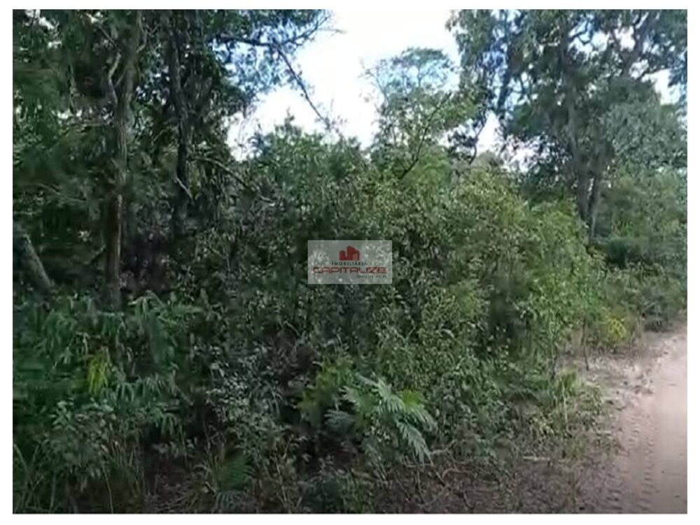 Fazenda à venda, 4000m² - Foto 2