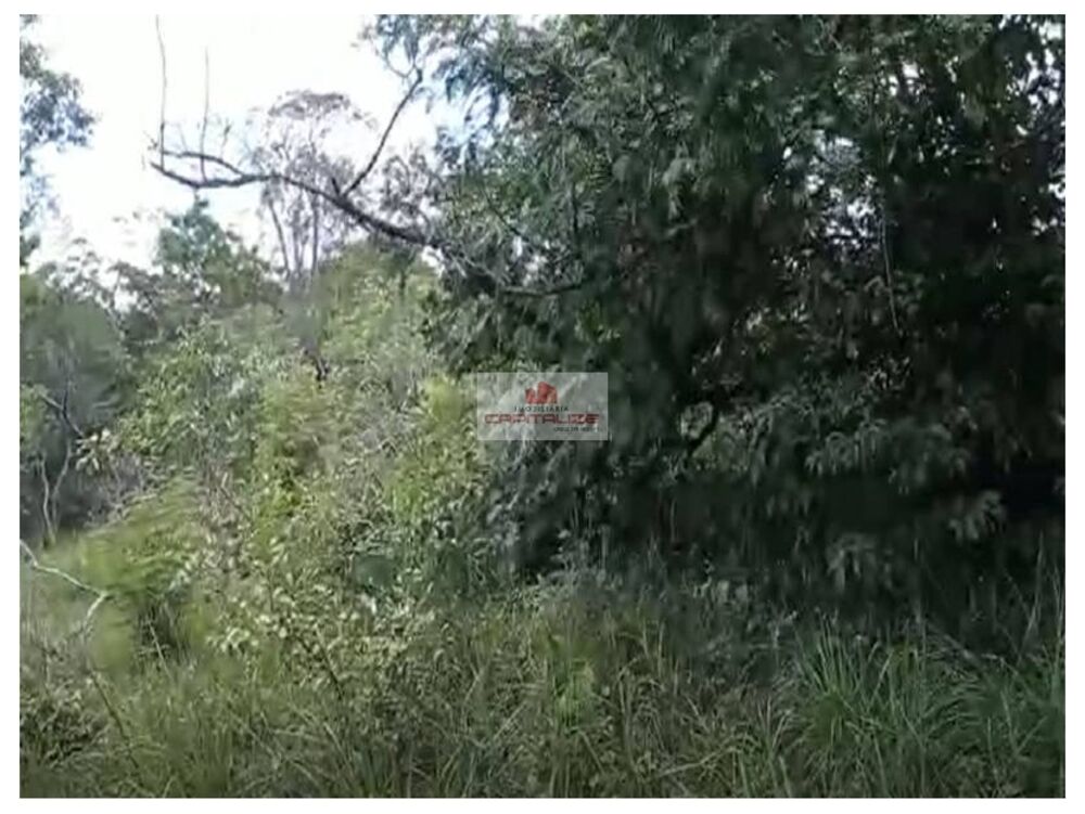 Fazenda à venda, 4000m² - Foto 3