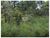 Fazenda, 4000 m² - Foto 4