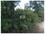 Fazenda, 4000 m² - Foto 2